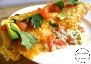 Enchiladas with Jalapeño Cream Sauce  News Anchor To Homemaker